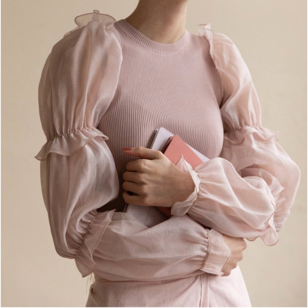 Zara Dusty Rose Pale Pink Ribbed Organza Knit top Size Large